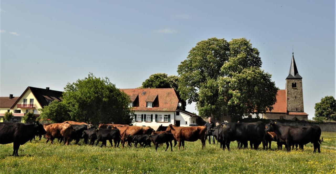 Schaefer'S Ferienhof Michaelsberg Gundelsheim  المظهر الخارجي الصورة